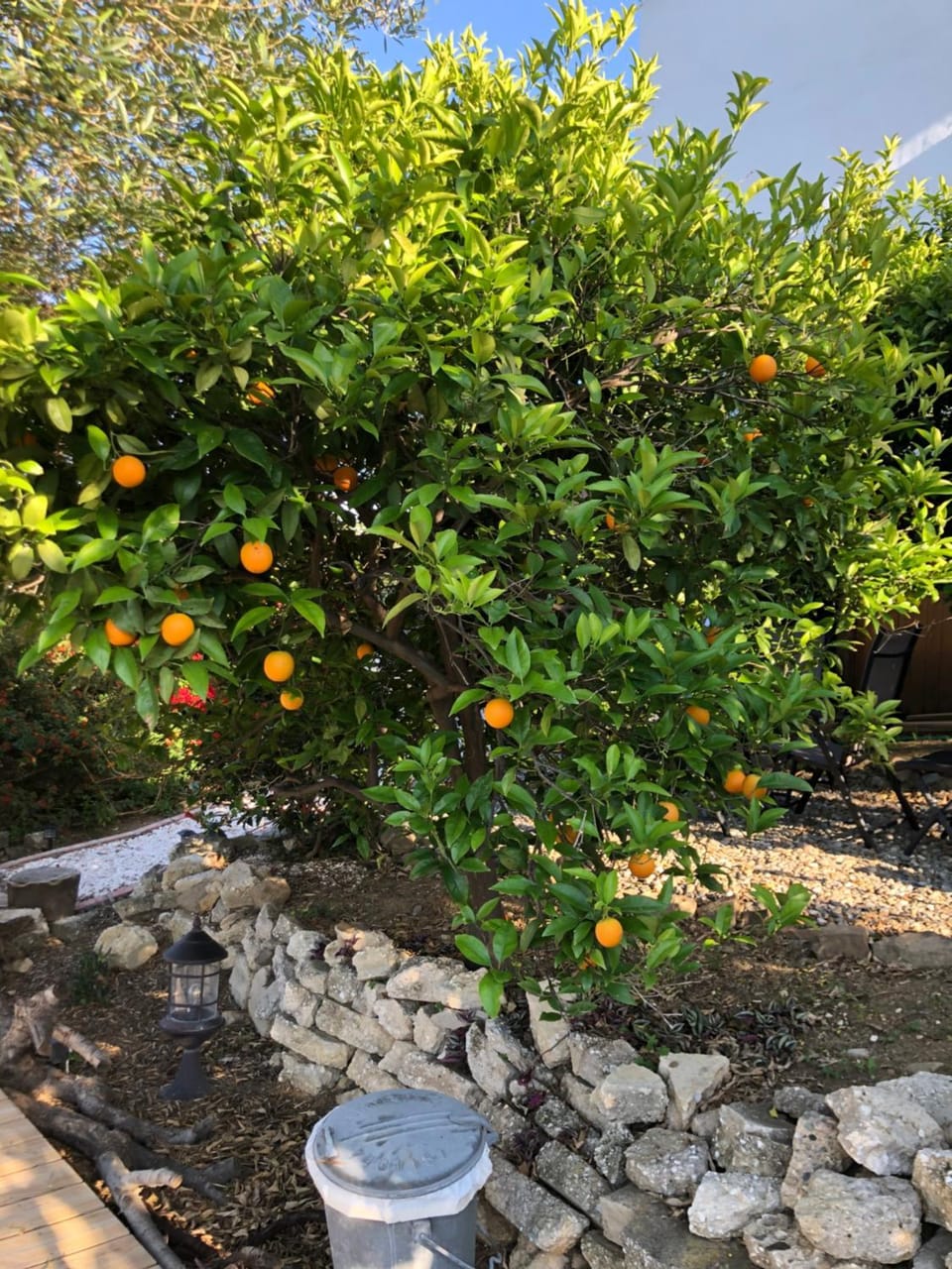 La Hermosa Vista Bed and Breakfast in Valle del Guadalhorce
