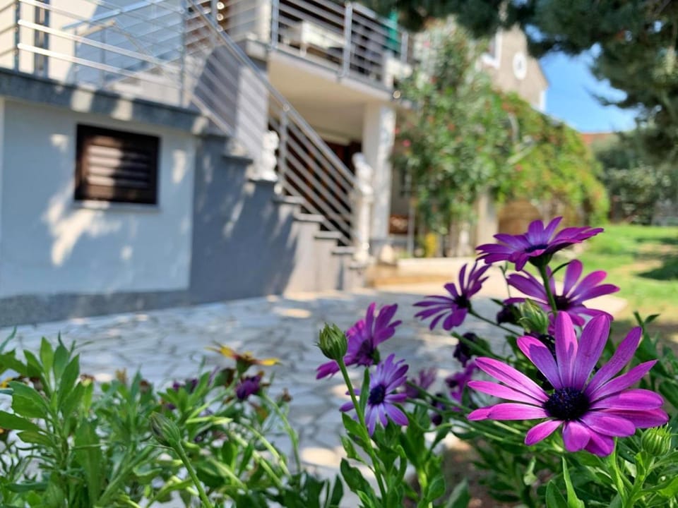 Apartments Volaric Bed and Breakfast in Primorje-Gorski Kotar County