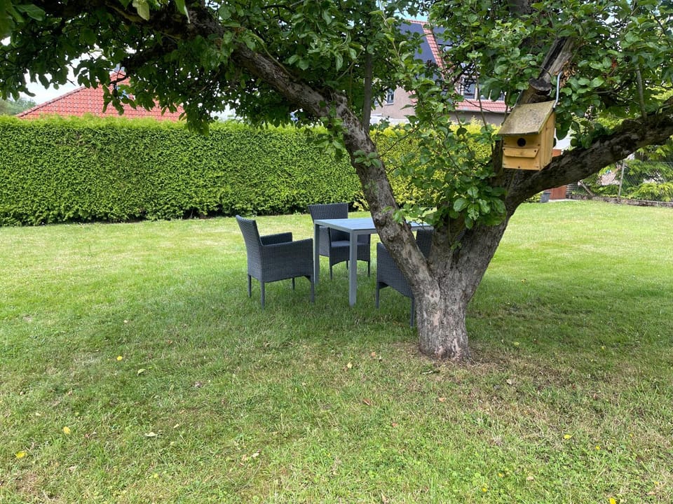 Ferienwohnung Waldblick Bückeburg Apartment in Minden
