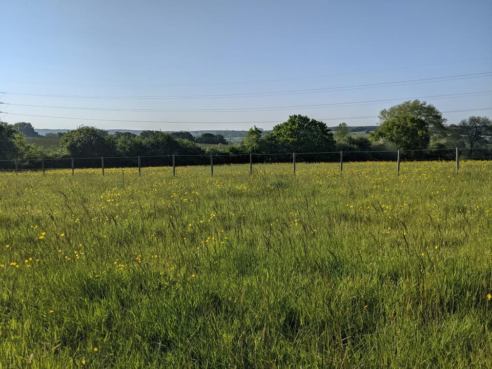View (from property/room)