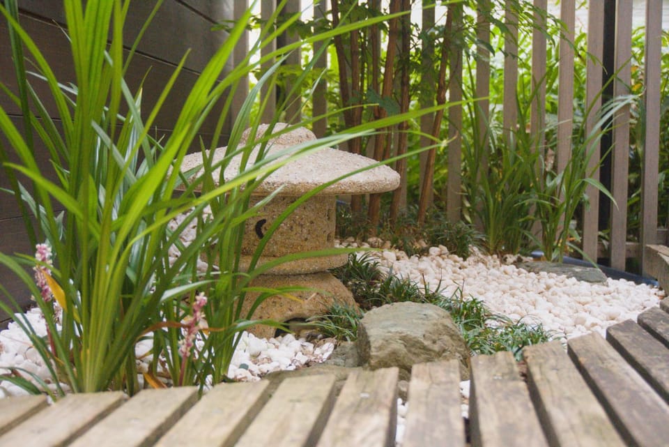 Patio, Garden, Garden view