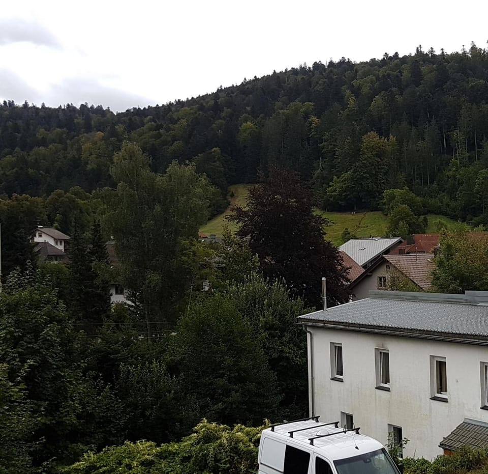 Mountain view