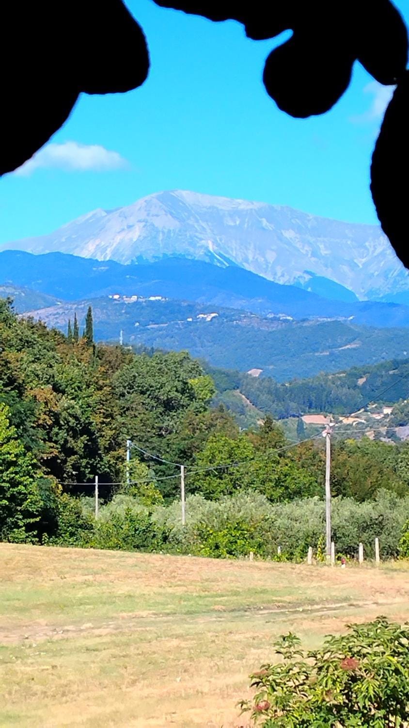 Landmark view