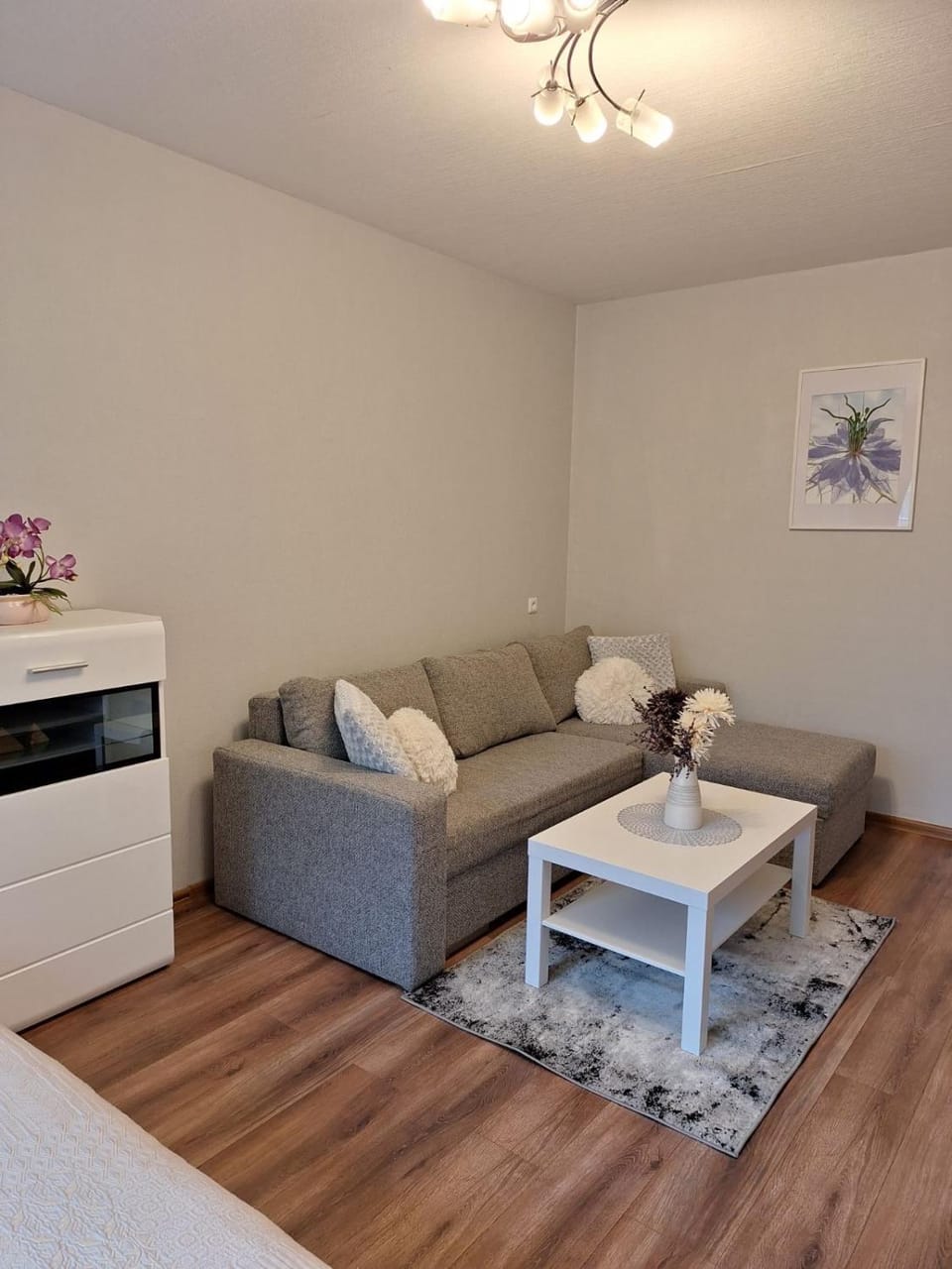 Debreceno Apartamentai Apartment in Klaipėda