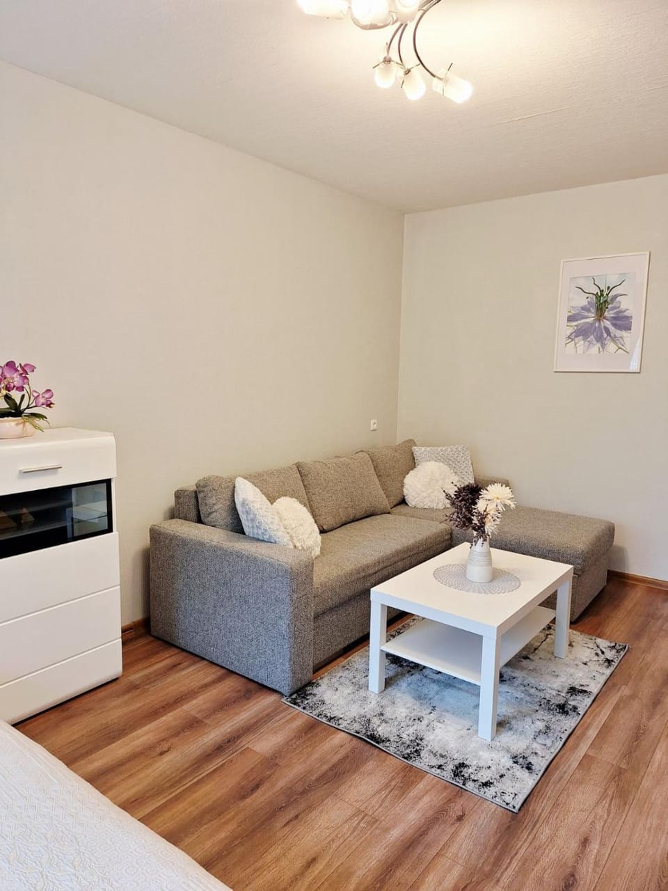 Debreceno Apartamentai Apartment in Klaipėda