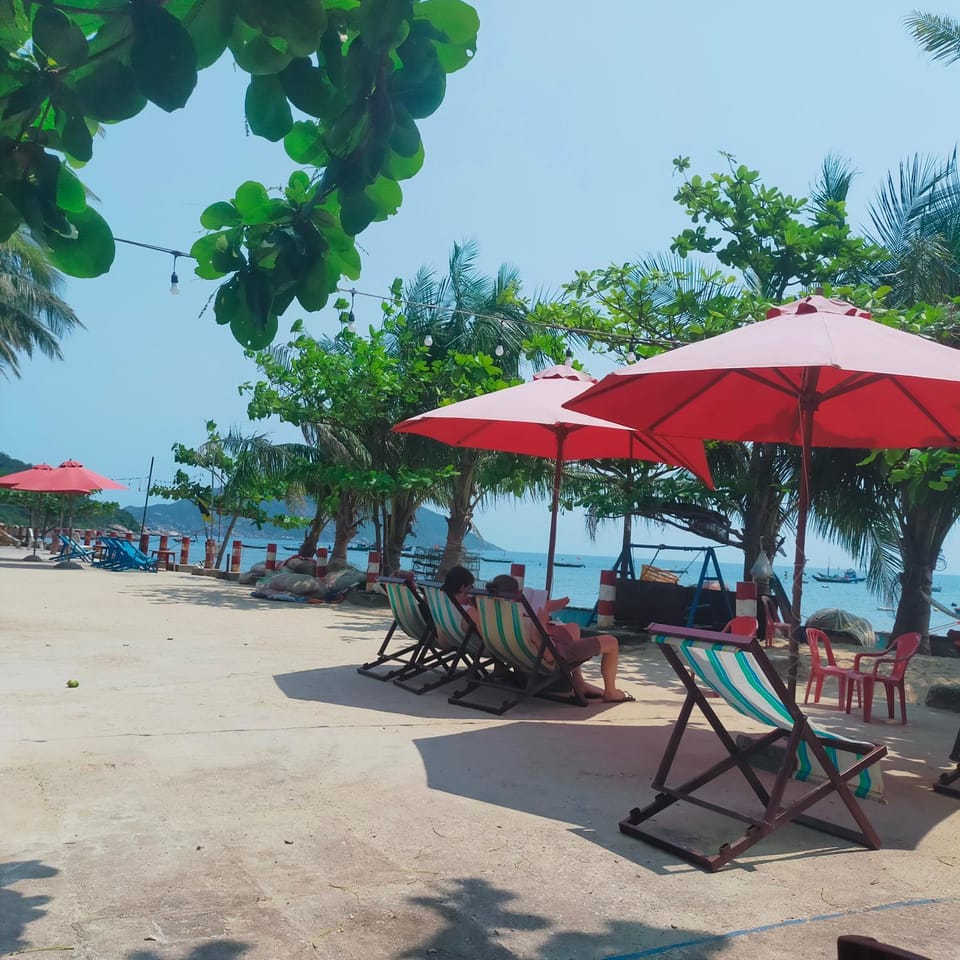 Chamisland Hanhly homestay Bed and Breakfast in Hoi An