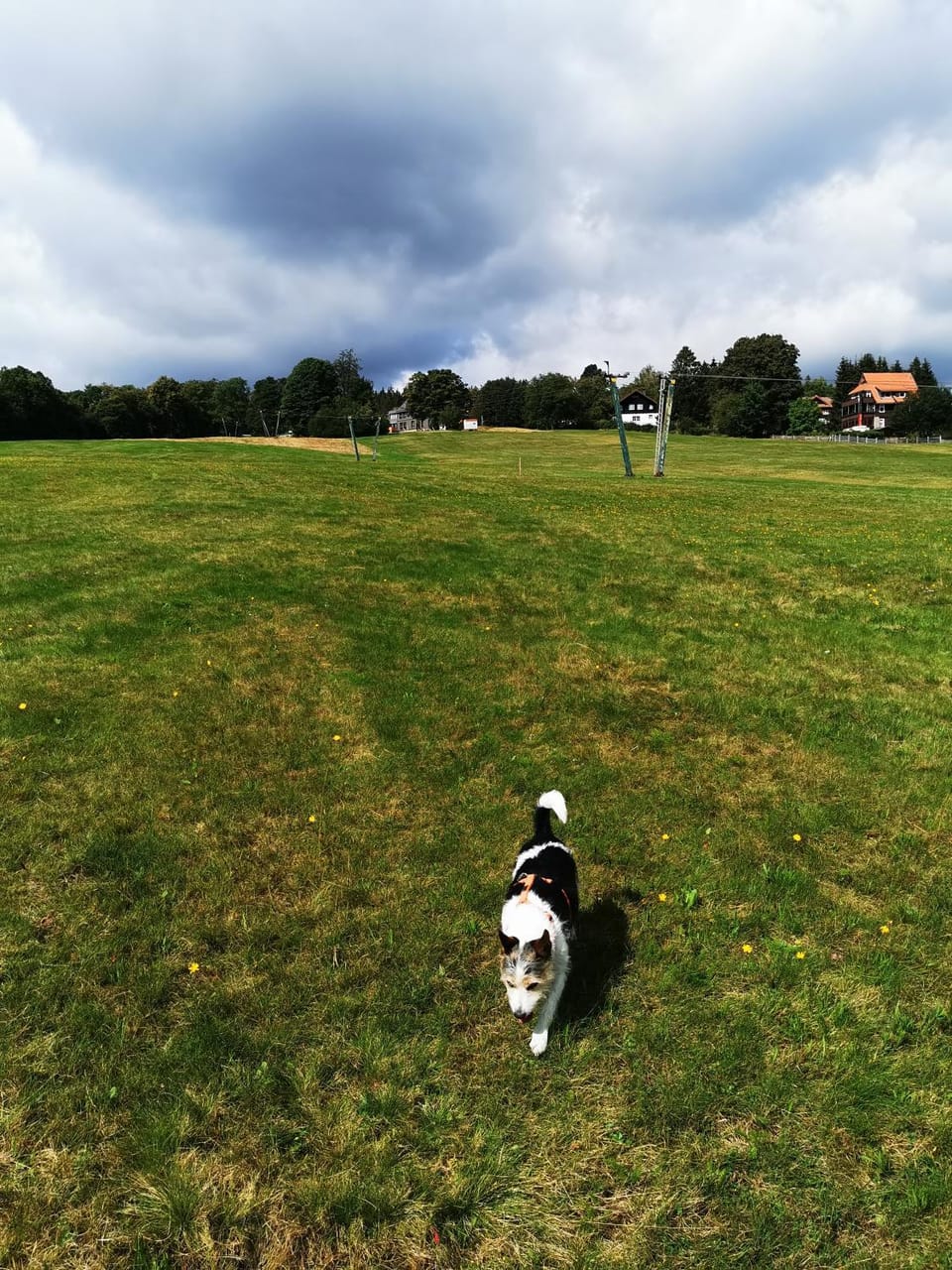 Day, Natural landscape