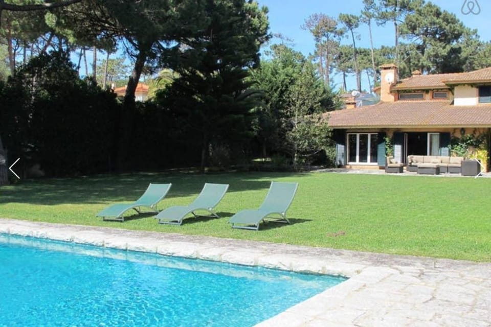 Garden, Swimming pool