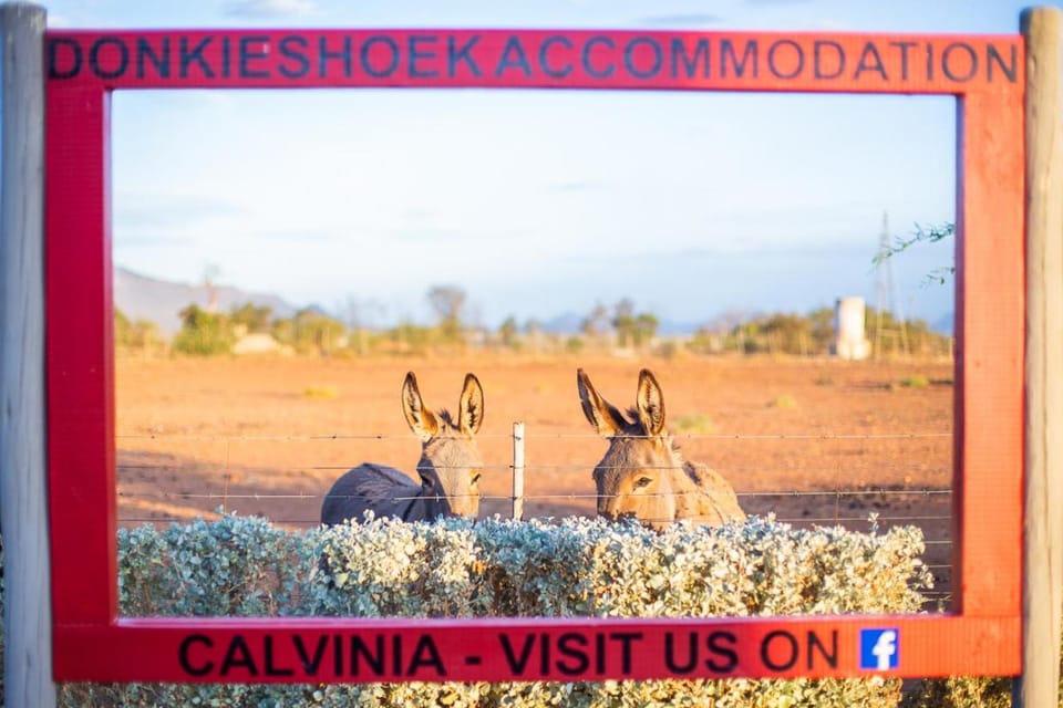 Donkieshoek Accommodation & Campsite, Calvinia House in Western Cape