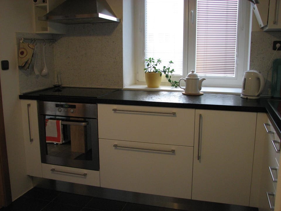 Kitchen or kitchenette, pet friendly
