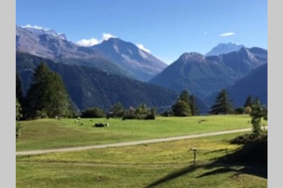 Idyllisches Chalet inmitten der Walliser Bergwelt Apartment in Canton of Valais