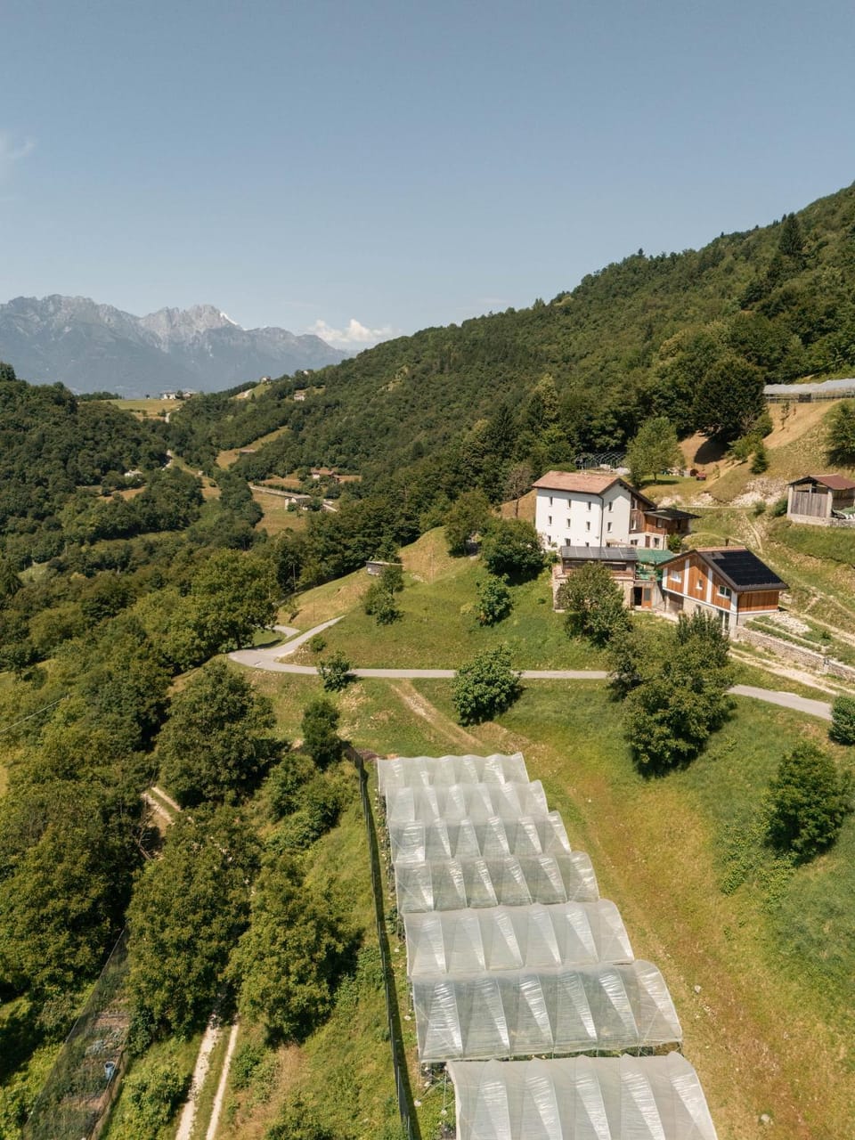 Agriturismo Saettà Farm Stay in Veneto