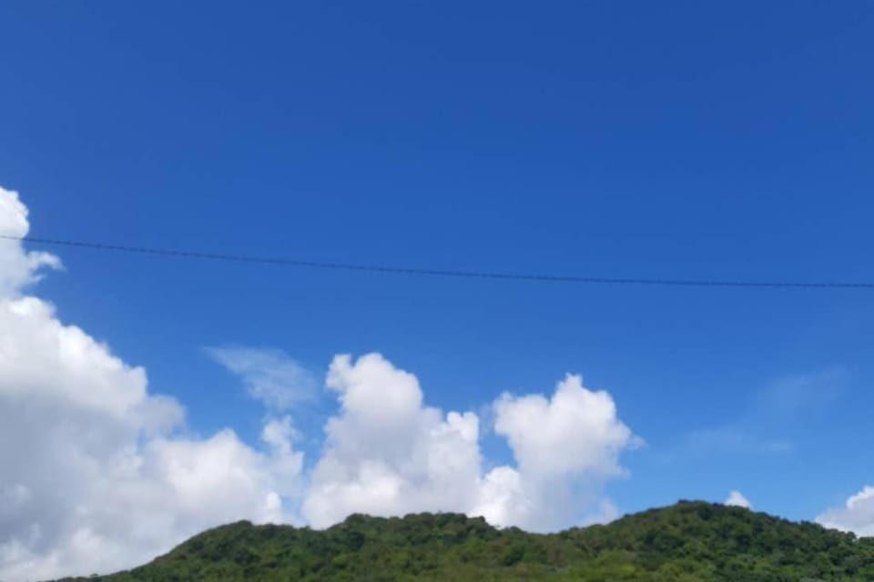 Natural landscape