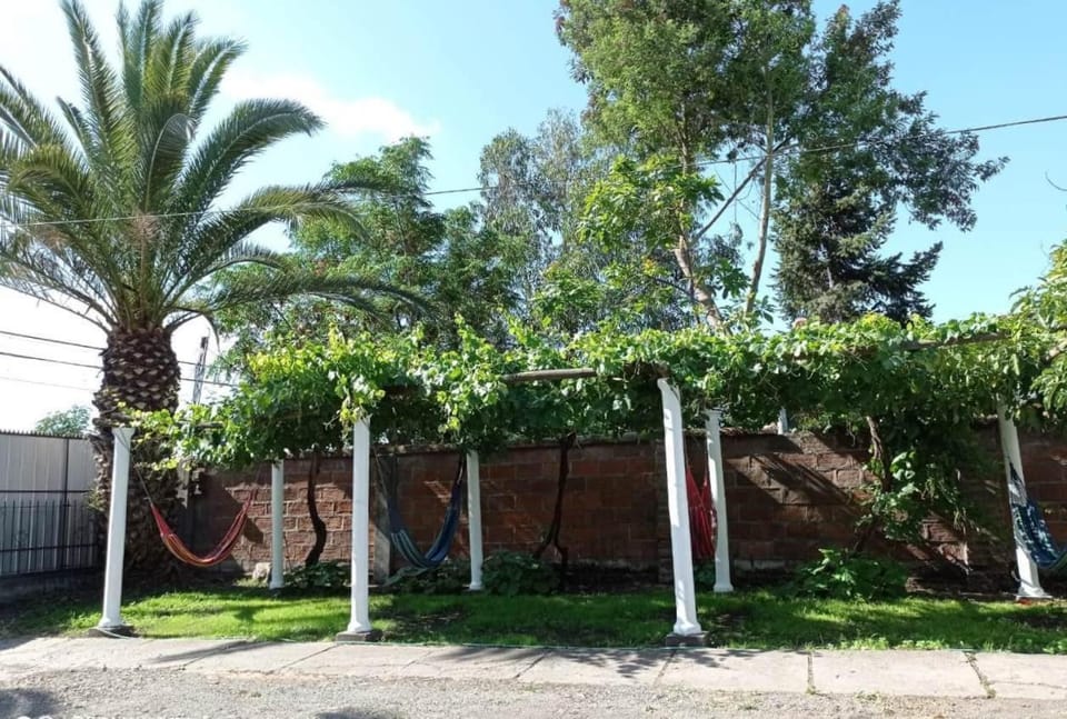 Patio, Garden