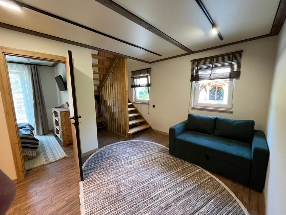 Family Plai Chalet in Ukraine