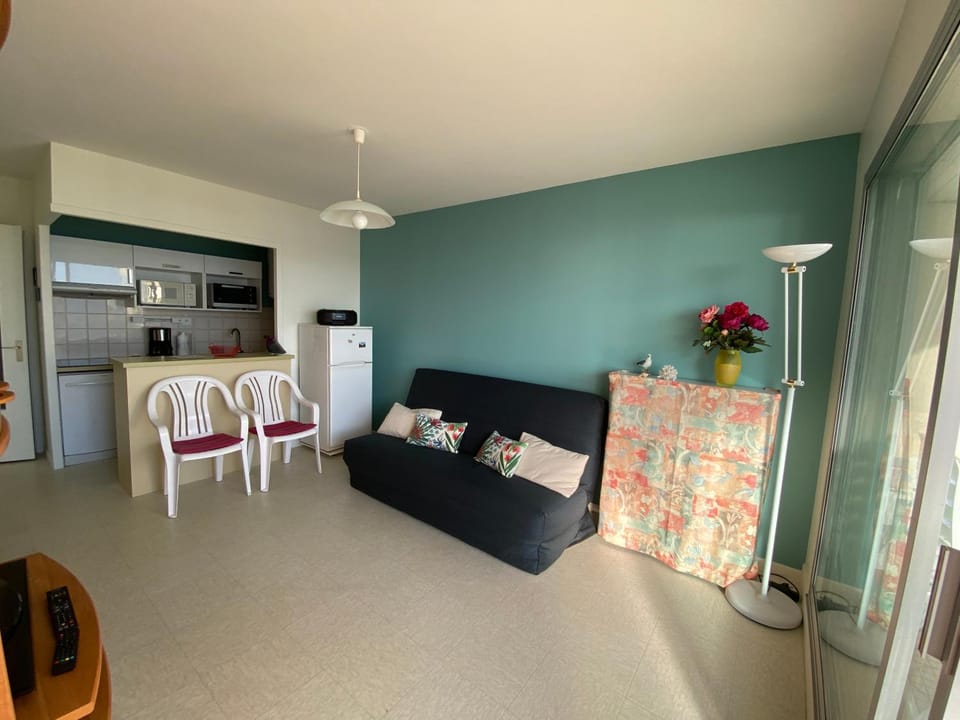 Appartement belle vue mer face à la Plage des Demoiselles Apartment in Saint-Jean-de-Monts