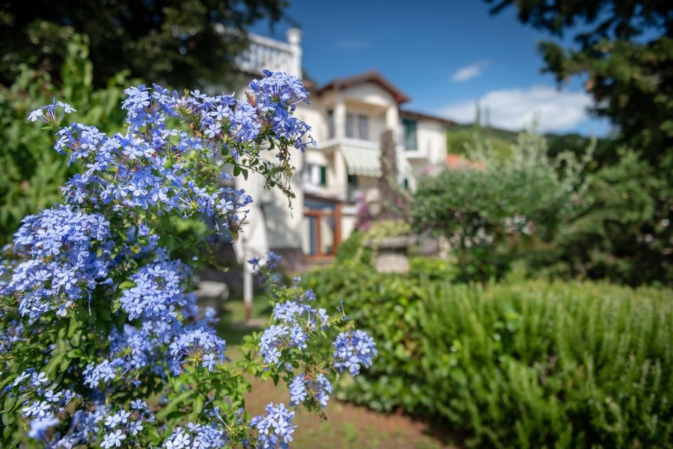 H-ELIOS Apartment in Lovran
