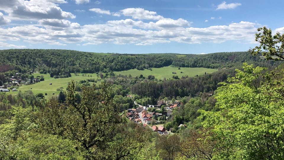 View (from property/room)
