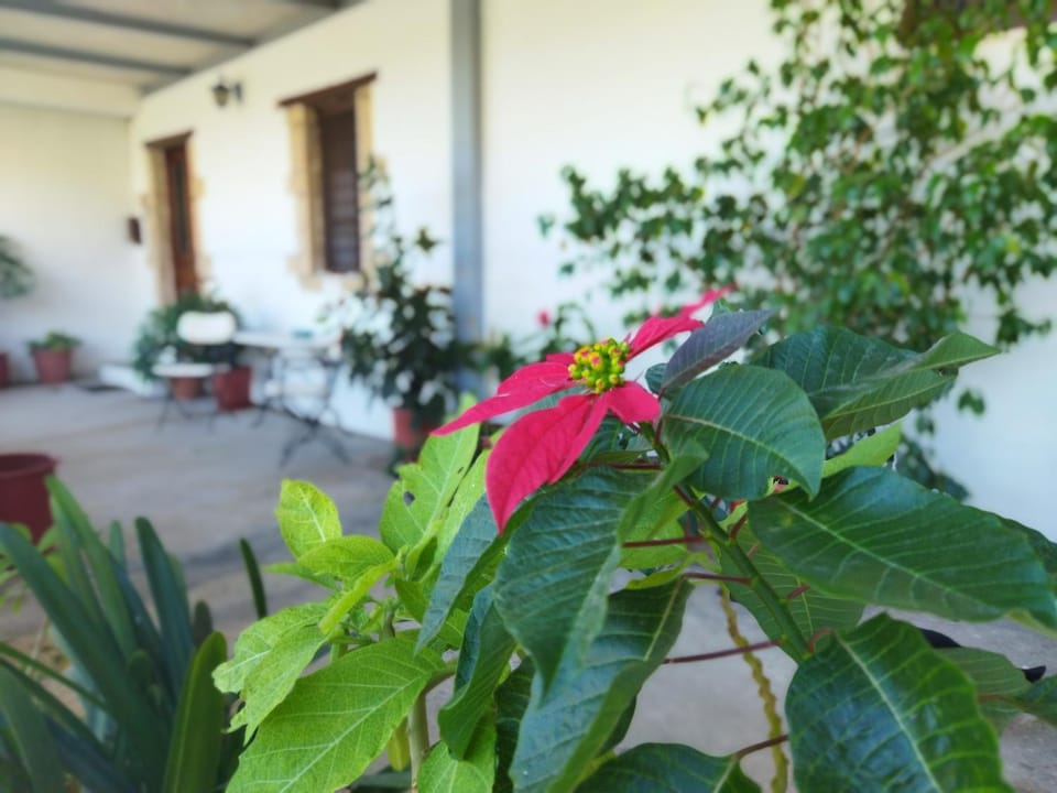 Agroikia House in Arcadia, Greece