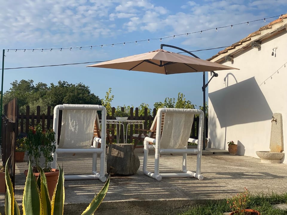 Patio, Seating area, sunbed
