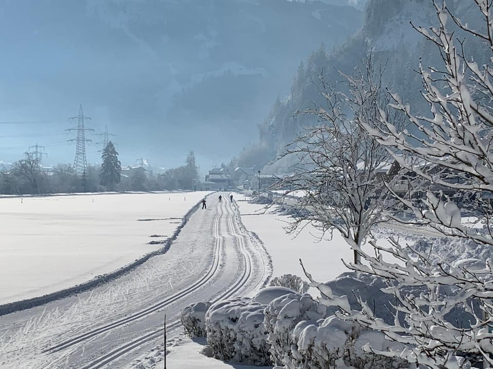 Natural landscape, Winter