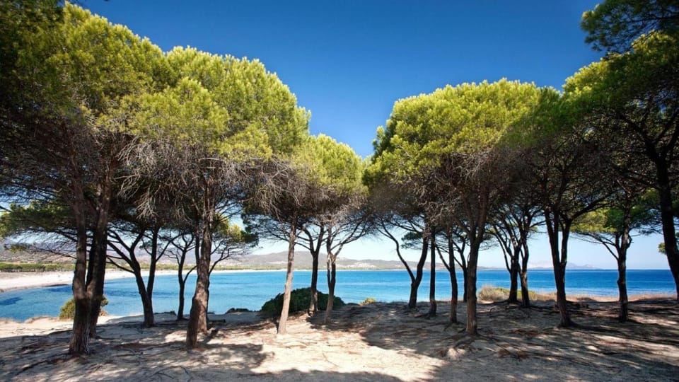 B&B La Quercia Budoni, Tanaunella Bed and Breakfast in Sardinia