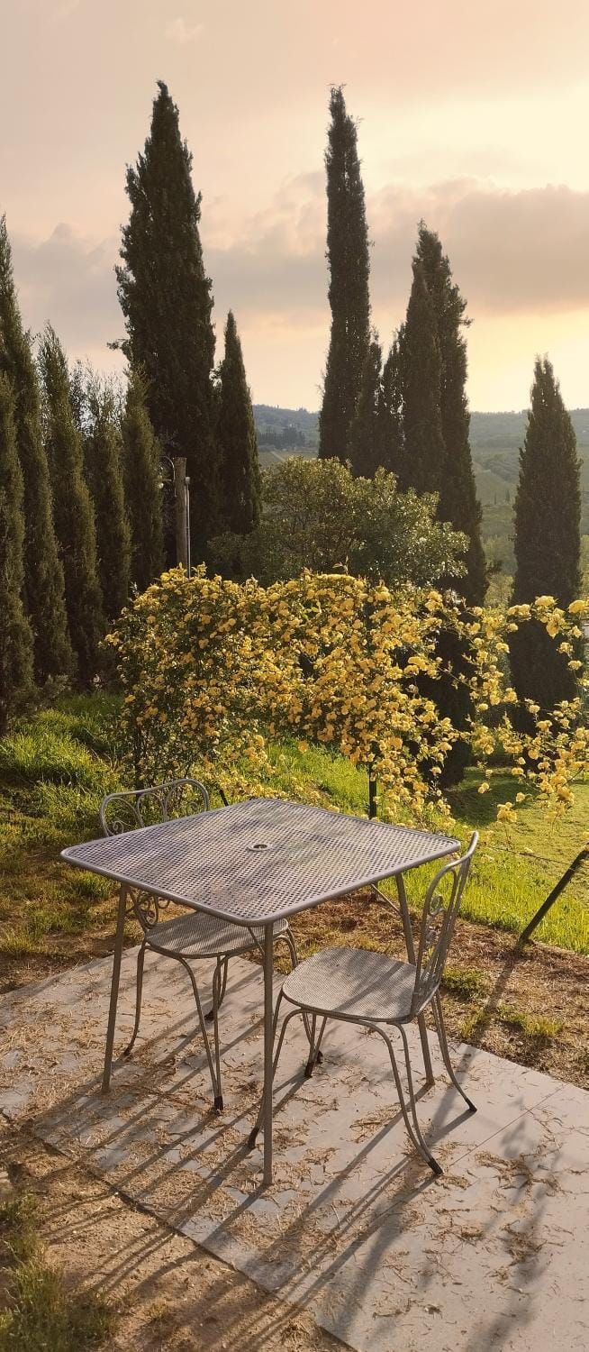 Tuscan rooms Apartment in Greve in Chianti