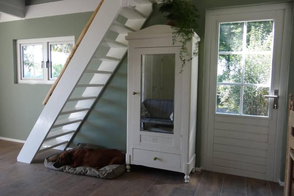The Green Cottage House in Drenthe (province)