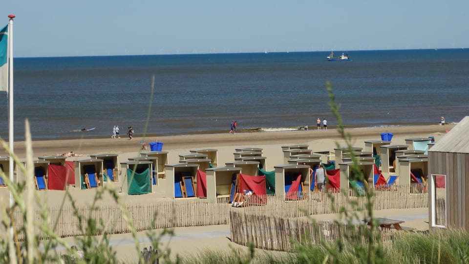 Neighbourhood, Activities, Beach, Windsurfing, Sports, Entertainment, children, young children, older children, Family