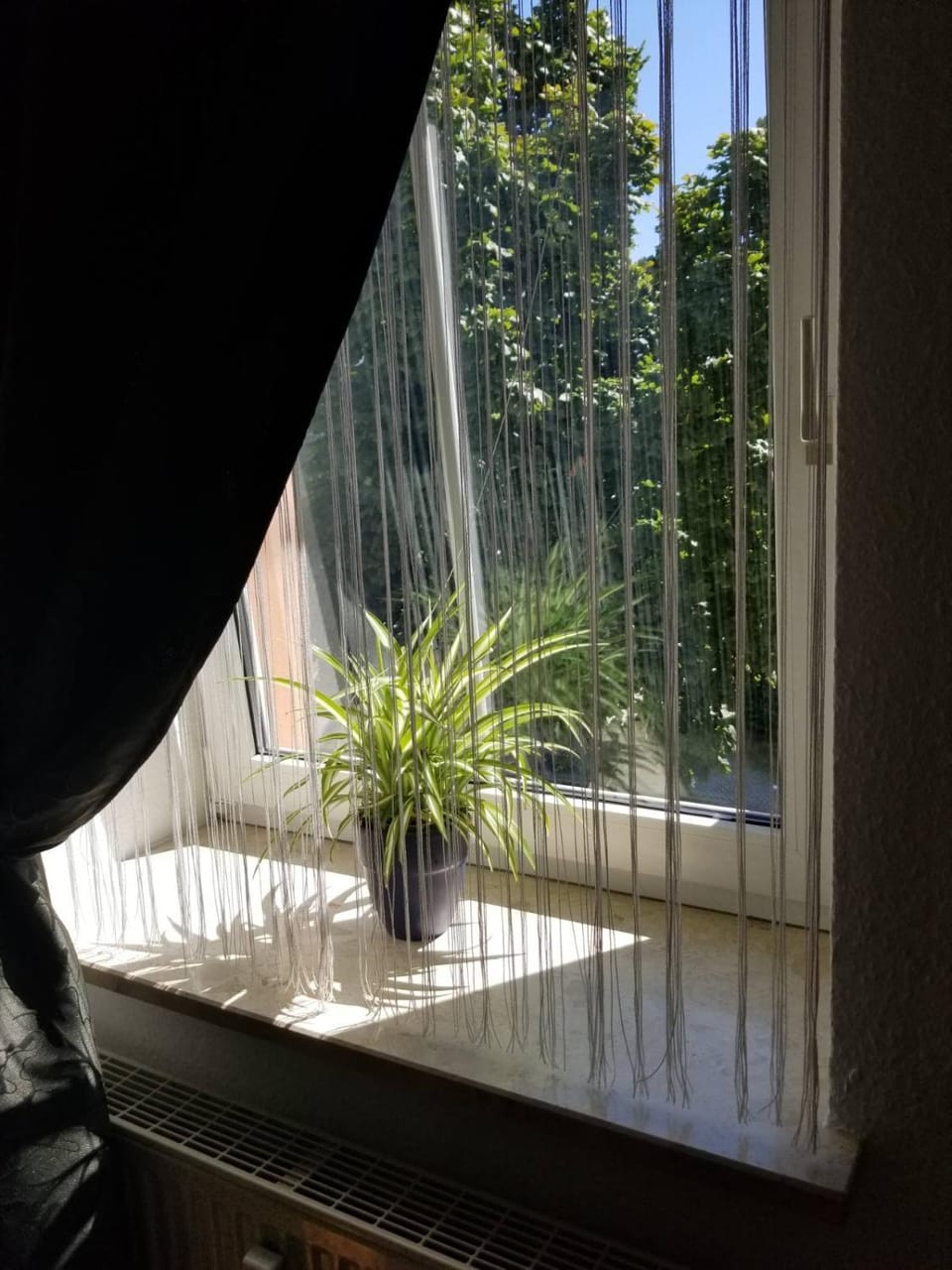 1-Zimmer Apartment in der Nähe vom Petersberg Apartment in Erfurt