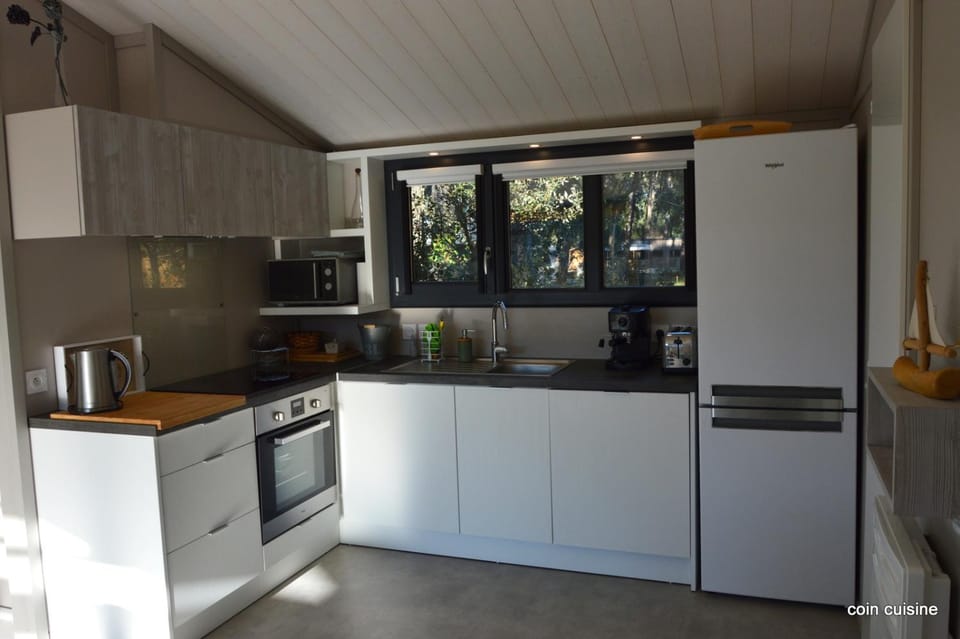 Kitchen or kitchenette, dishwasher, minibar, pet friendly, stove