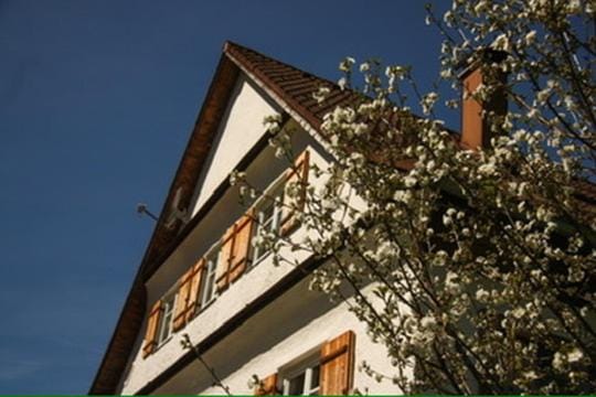Property building, Spring, Summer
