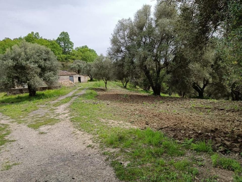 B&B Le Casette Bed and Breakfast in Calabria