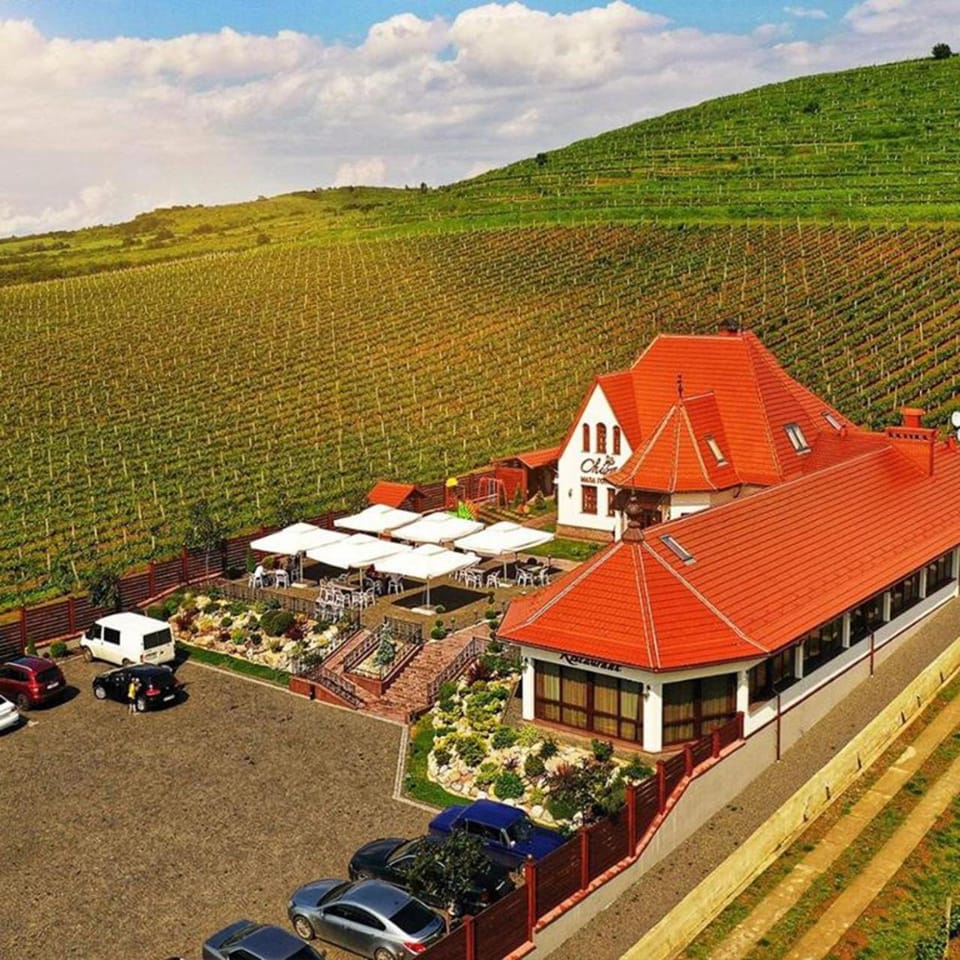 Bird's eye view, Parking