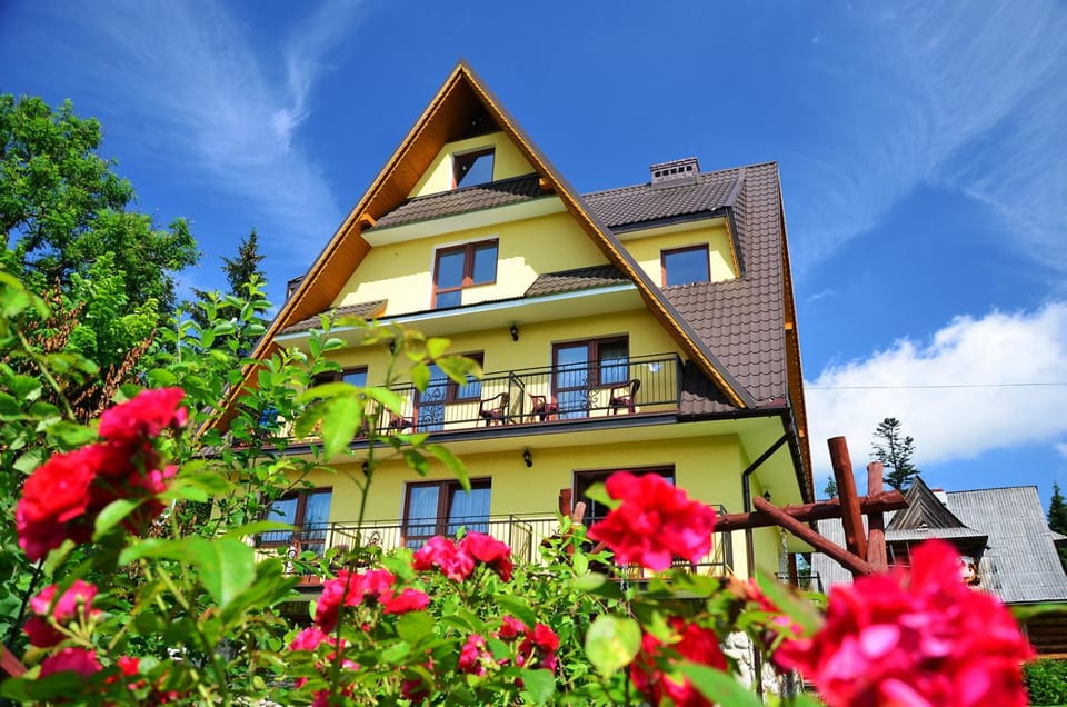 Property building, Summer, Garden, Garden view