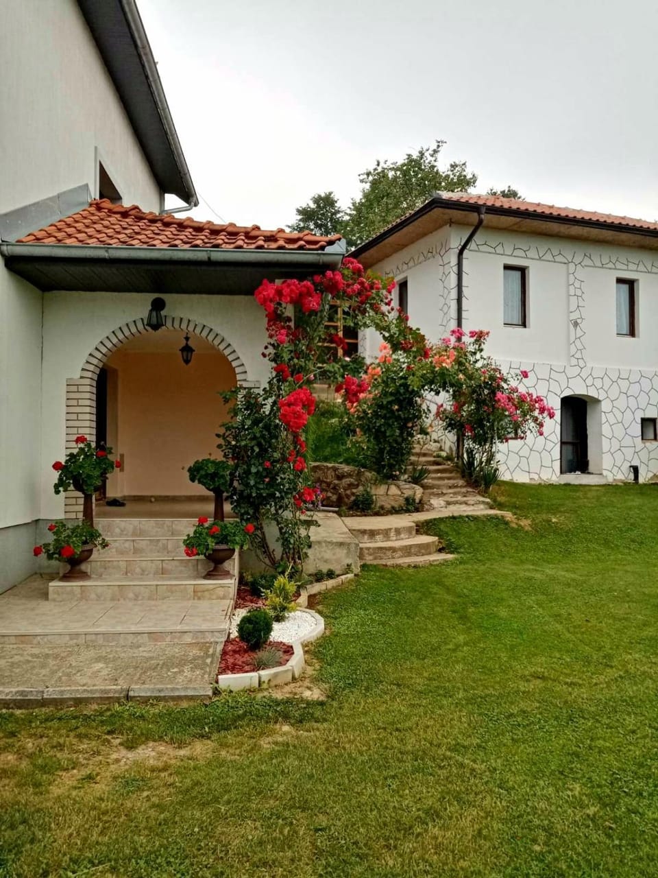 Property building, Garden, Garden view, Inner courtyard view