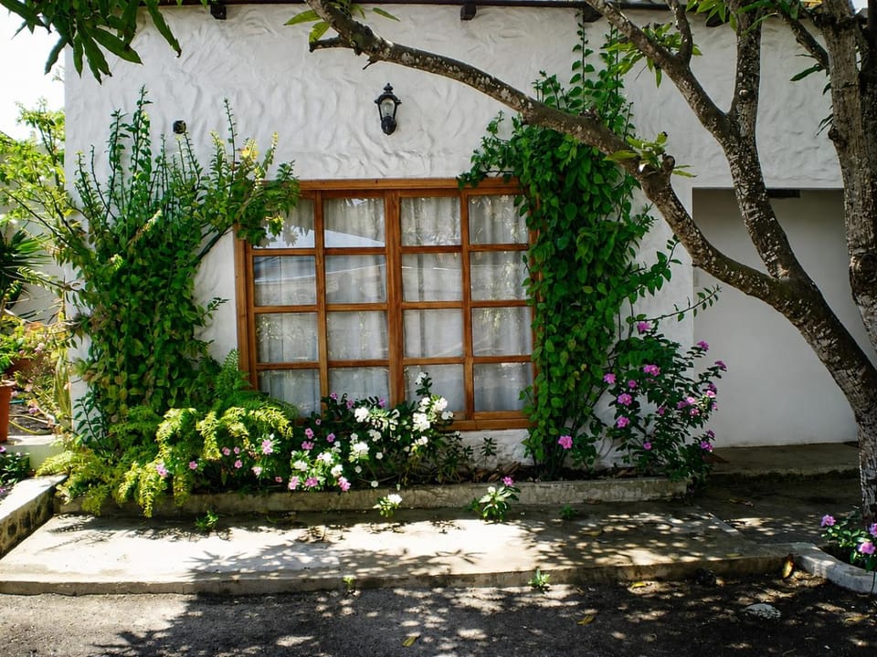 Property building, Garden