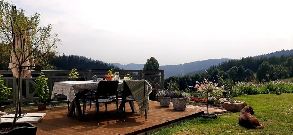 Garden, Balcony/Terrace