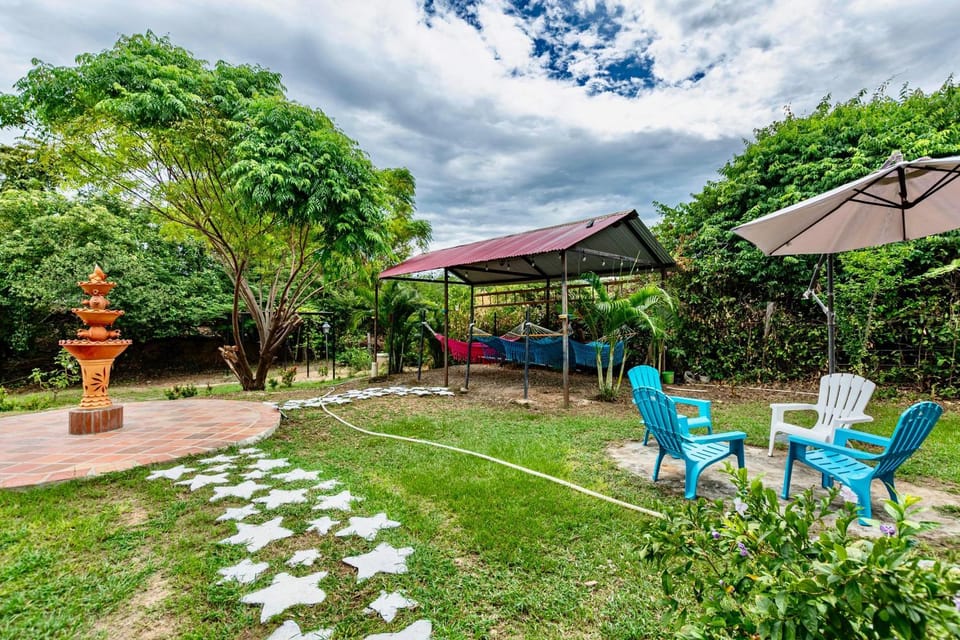 Patio, Spring, Garden