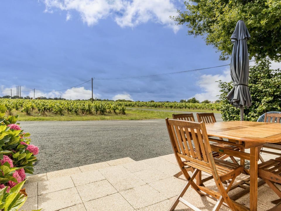 Gîte Authentique au Cœur des Vignes avec Terrasse Privative et Wifi, à 25 km de Nantes - FR-1-306-813 House in Pays de la Loire
