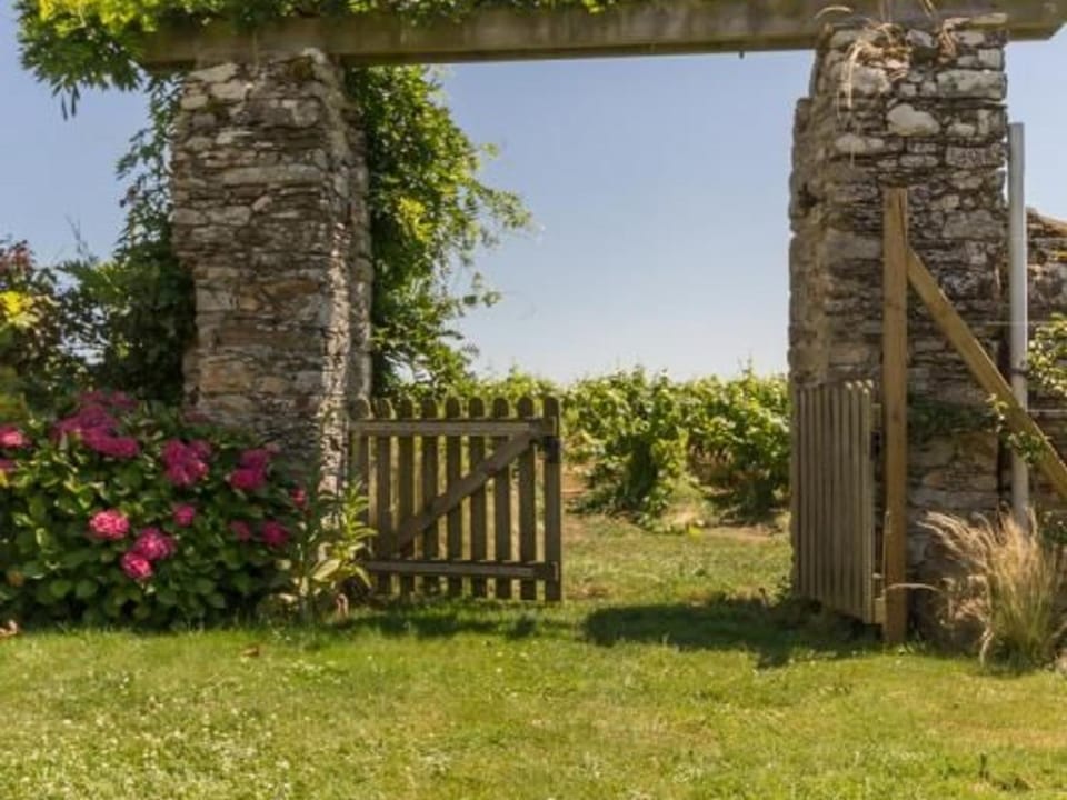 Gîte confortable au cœur des vignes avec terrasse, vélos, WiFi et équipements bébé à 17 km de Nantes - FR-1-306-808 House in Pays de la Loire