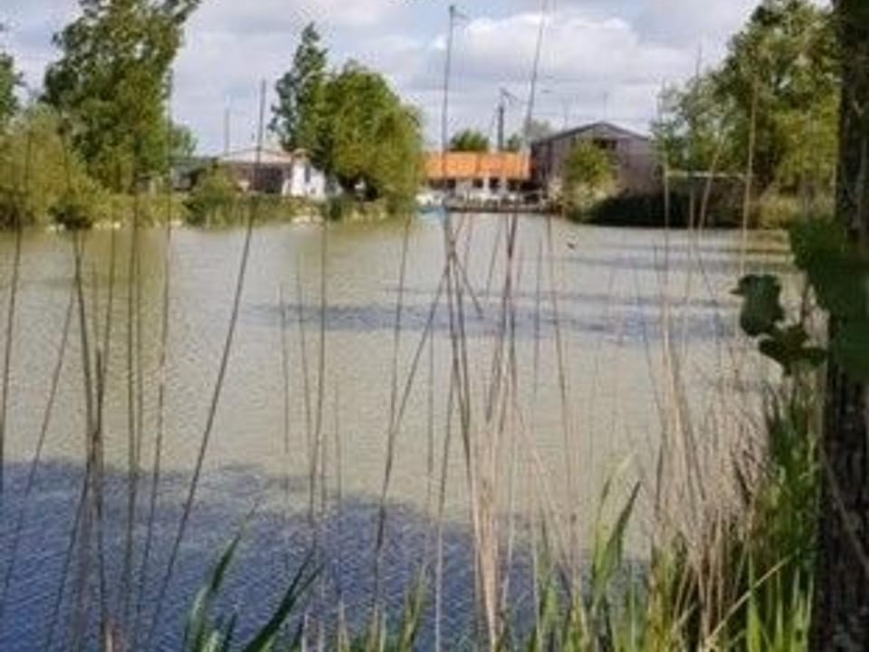Charmante Grange Rénovée avec Piscine et WiFi - FR-1-306-822 House in Pays de la Loire