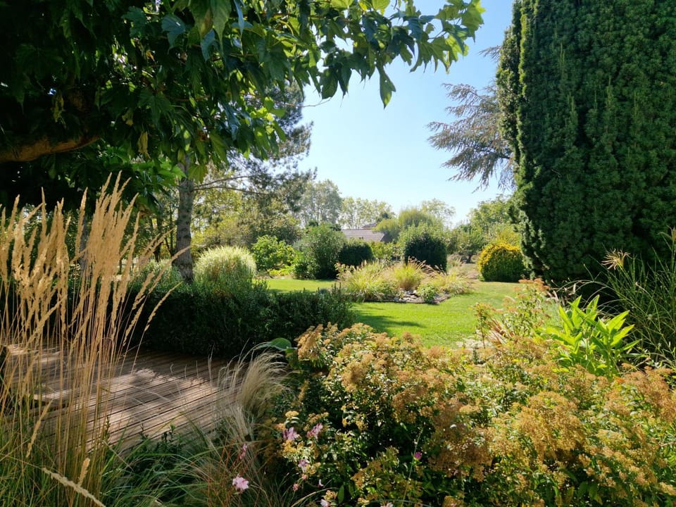 Day, Natural landscape, Garden, Garden view