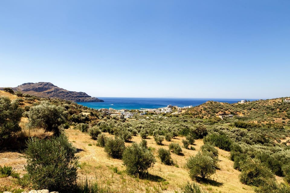 Summer, City view, Sea view