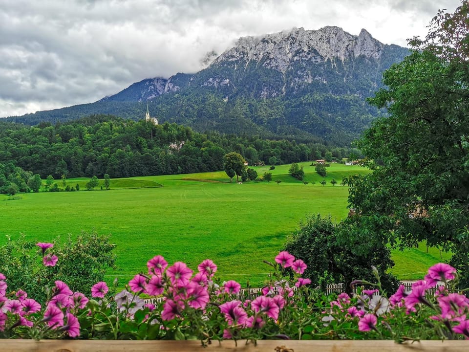 View (from property/room), Mountain view