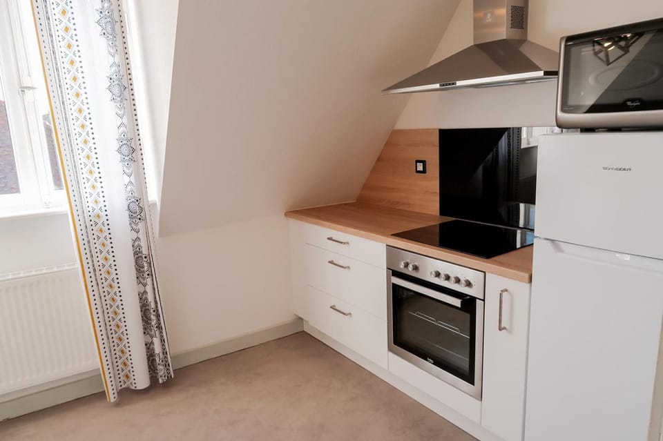 Kitchen or kitchenette, minibar, pet friendly, stove