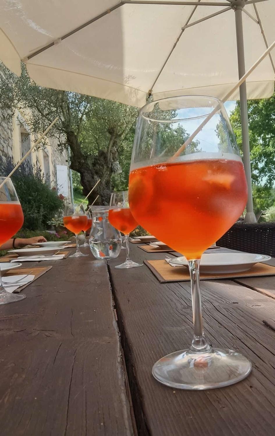 Skalameri Bed and Breakfast in Istria County
