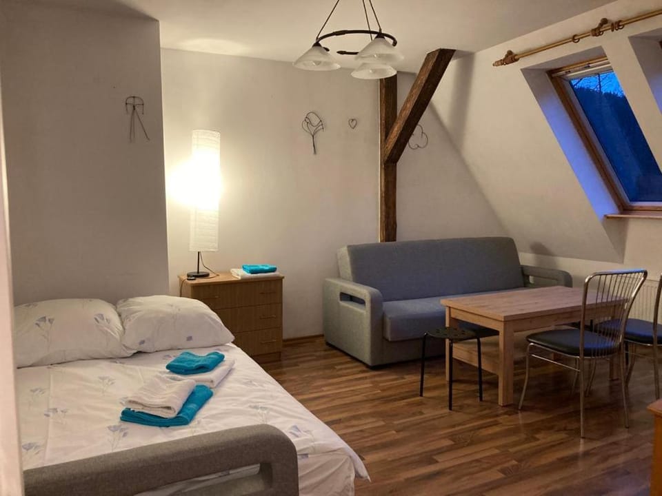 Apartament pod Stożkiem Apartment in Lower Silesian Voivodeship
