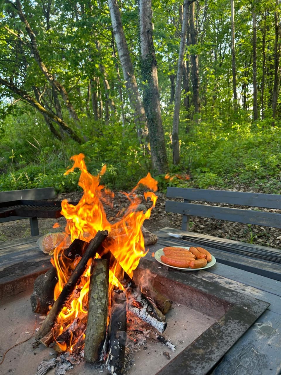 Koziula - Domki i Leśne SPA na Kaszubach Nature lodge in Pomeranian Voivodeship