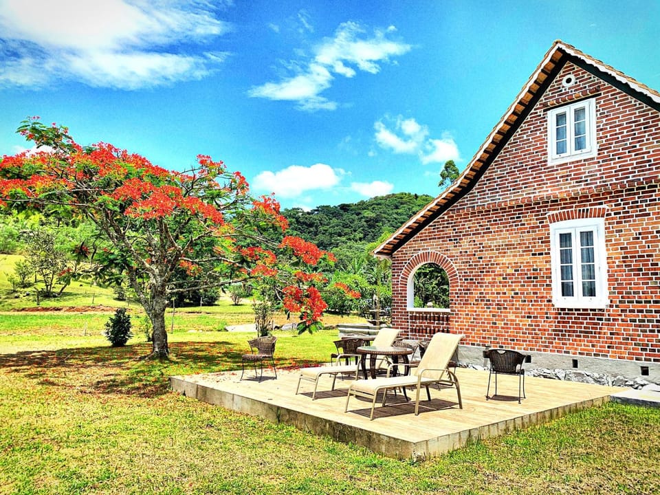 Property building, Patio, Day, Natural landscape, Garden, Garden view